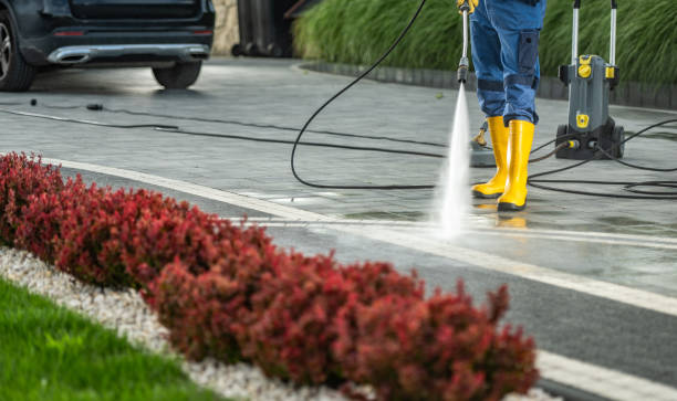 Best Pressure Washing Siding  in Bayonet Point, FL